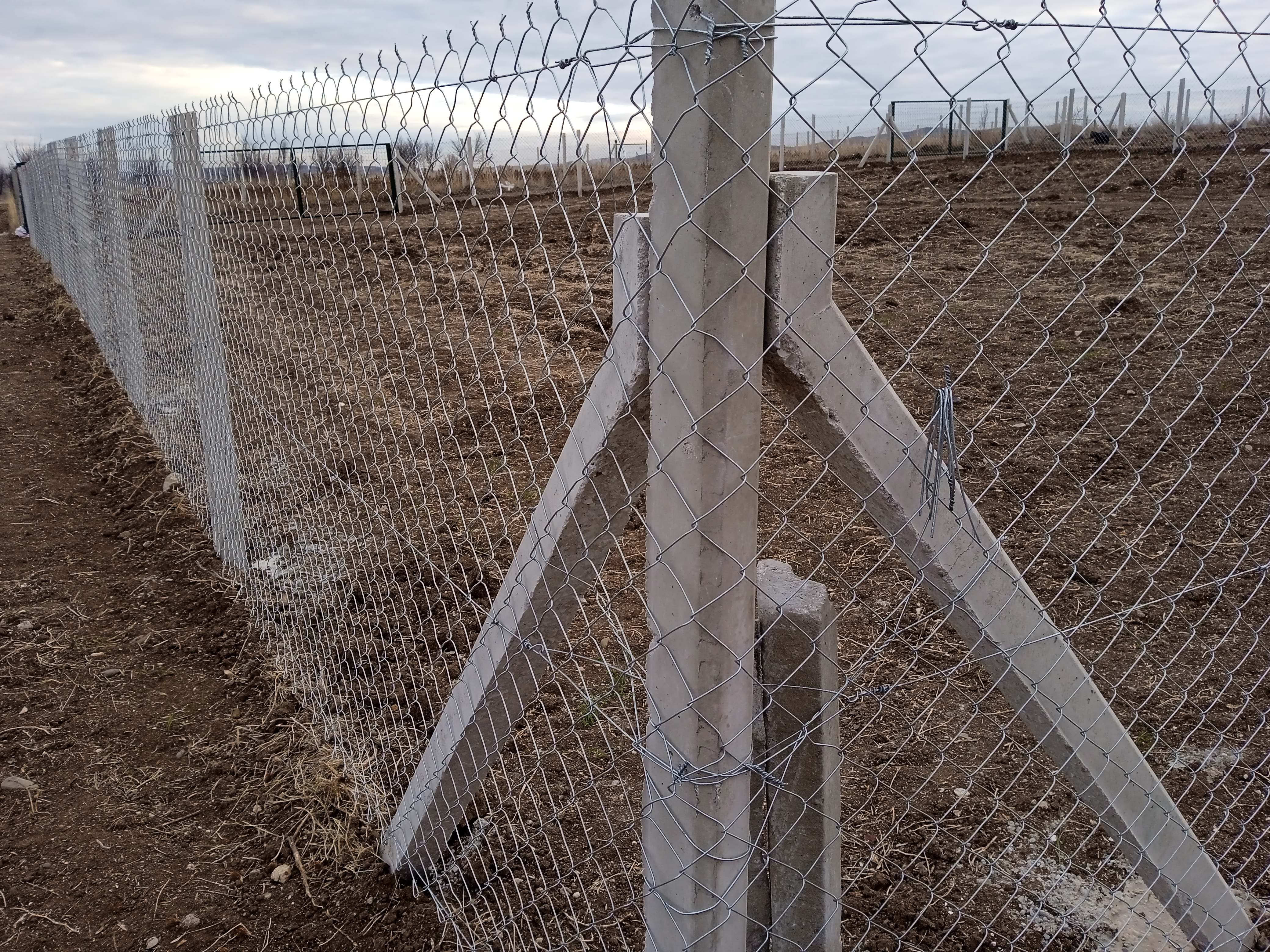 Tel Cit - Kose Detay