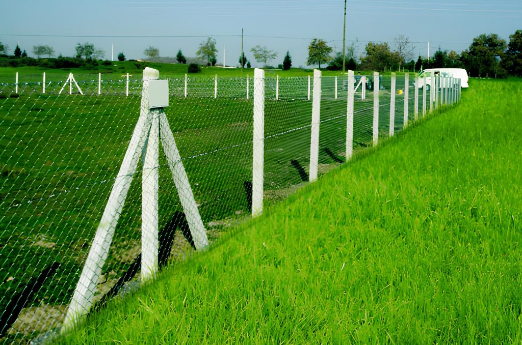 Tel Cit - Yesil Alan